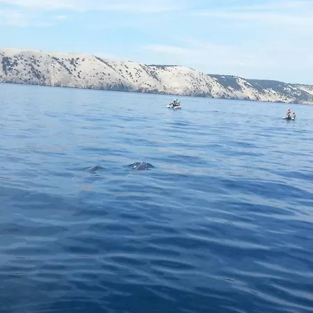 Riva * Barbat na Rabu